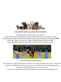 3f feel the fun  festival fitness wellness dog event dog adoption sai kung stray friends the hive